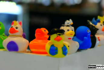 Ducks in the jewelry store onboad the ship