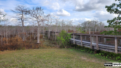 Everglades rest stop