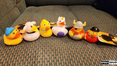 Collectively we found 6 ducks/cabin contest entries