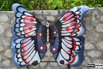 Butterfly art