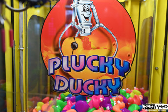 Plucky Ducky